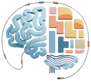 Psinapsia Formación